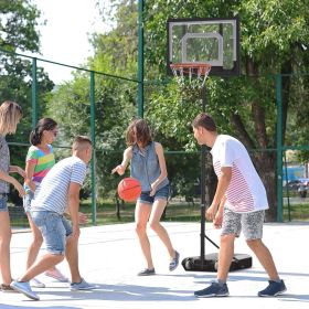 Portable Basketball Hoop System Stand with Backboard (Option: Black-870x610x180 mm)